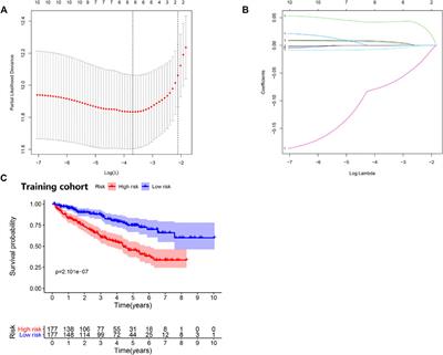 Construction and Verification of a Combined Hypoxia and Immune Index for Clear Cell Renal Cell Carcinoma